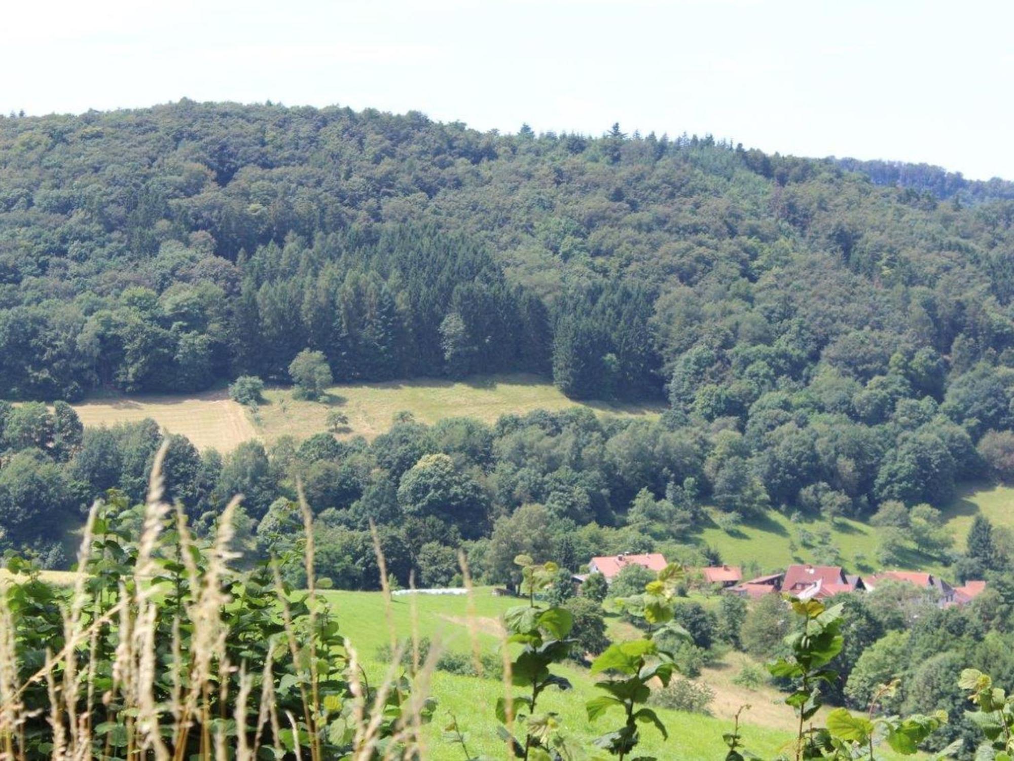 Ferienwohnung Rimbach Rimbach  Exterior foto